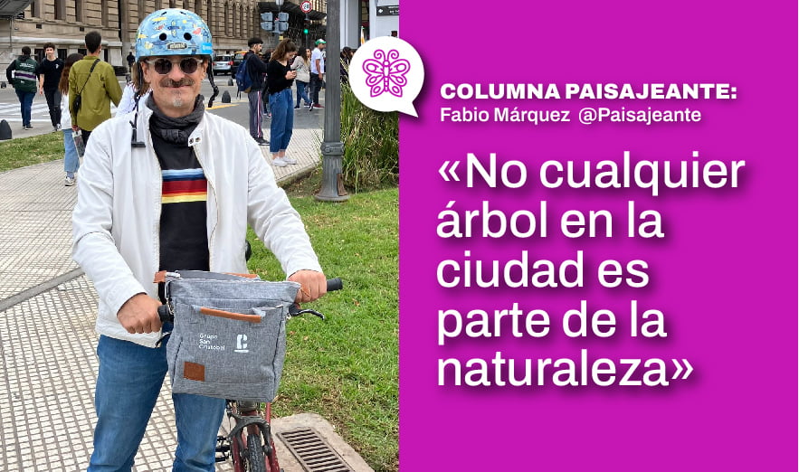 No cualquier árbol en la ciudad es parte de la naturaleza. Fabio Márquez